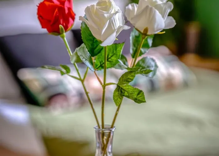 Chez Guillaume - Jungle Renove Balneo A La Gare Apartment Rouen